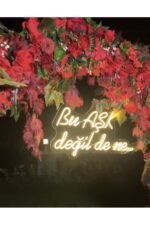 Bu aşk değil de ne neon led