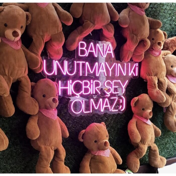 Bana Unutmayın Ki Neon Led