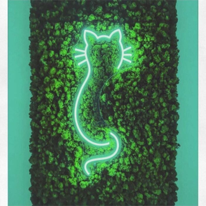 Neon Led Aydınlatma Catgr Gece Lambası Parti Süsü Işıklı Duvar Dekor