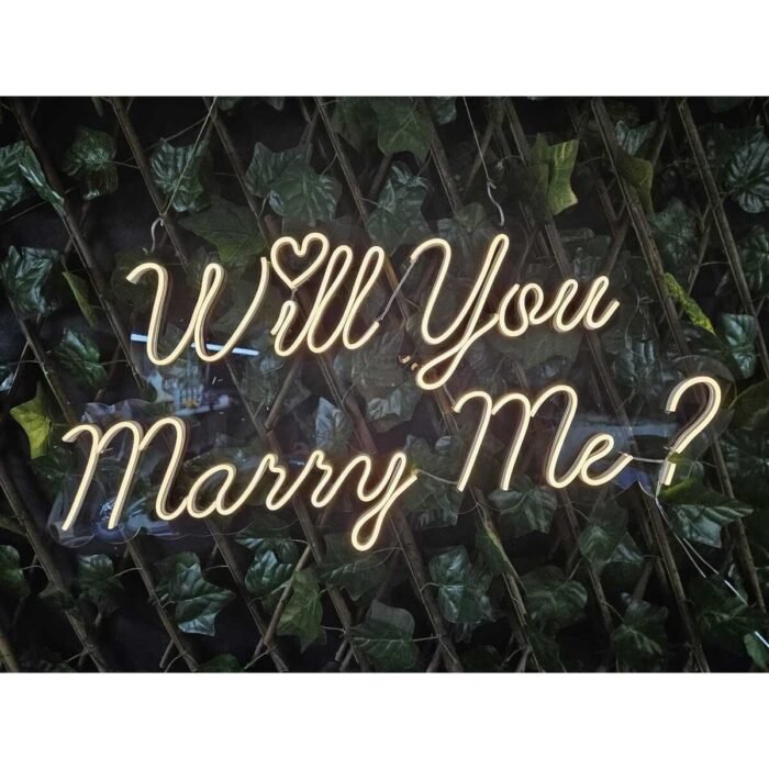 Will You Marry Me? Neon Led Işık 40*60 cm