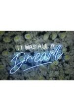 It Wall All A Dream Neon Tabela Neon Yazı Dekoratif Aydınlatma - Görsel 2