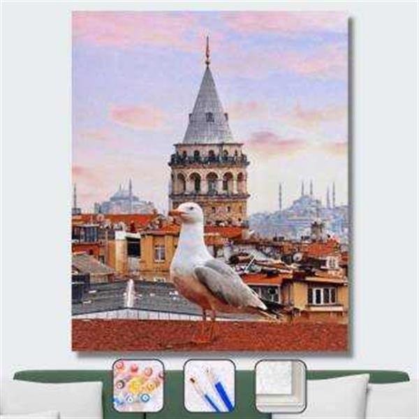 Sayılarla Boyama Seti Galata Kulesi Ve Martı