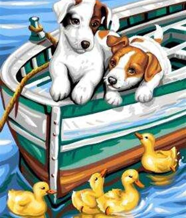 Sayılarla Boyama Seti Köpek Ve Ördekler