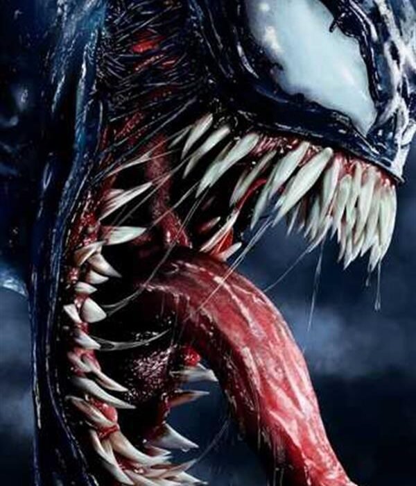 Sayılarla Boyama Seti Venom